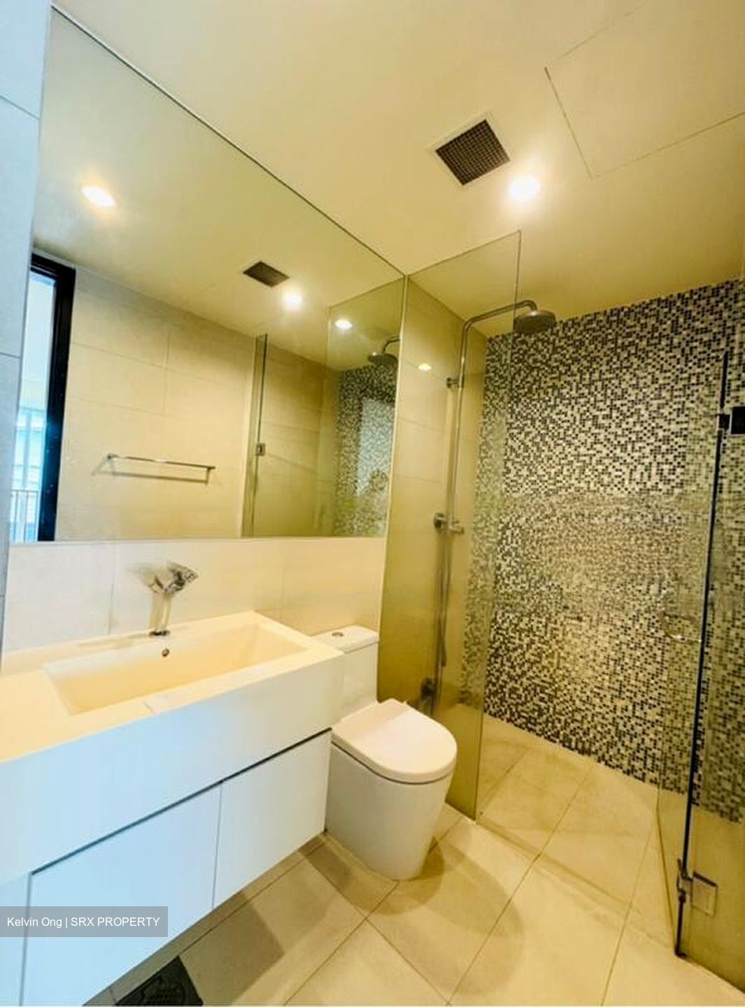 The Rochester Residences (D5), Apartment #454611151